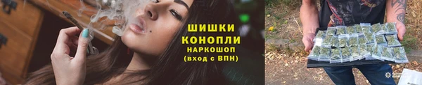 ПСИЛОЦИБИНОВЫЕ ГРИБЫ Аркадак