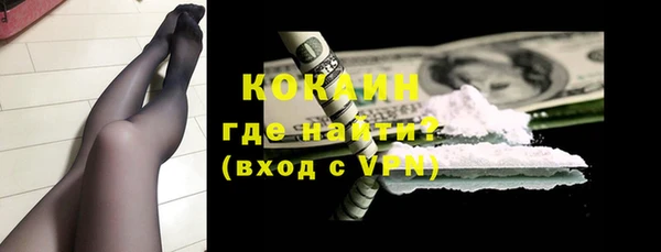индика Балахна