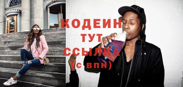 индика Балахна
