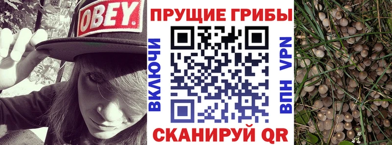 Псилоцибиновые грибы мухоморы  ссылка на мегу tor  Барыш 